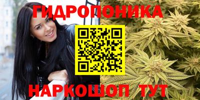 mdpv Краснознаменск