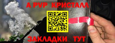mdpv Краснознаменск